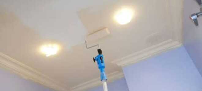 Какой краской красить потолок: обзор популярных материалов