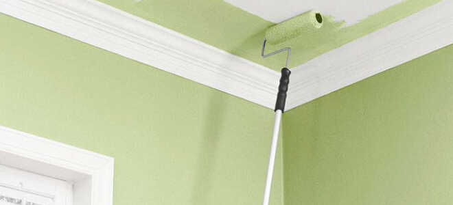 Какой краской покрасить потолок: чем лучше красить потолок в комнате, квартире, чем красят, покраска