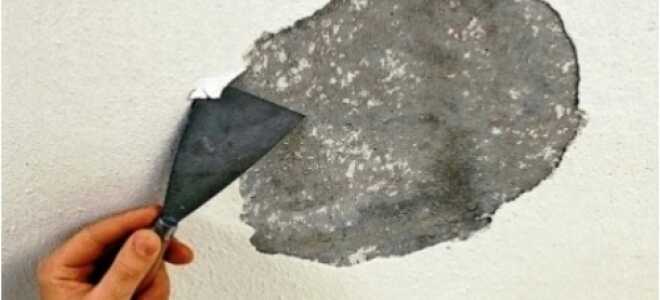 Можно ли клеить потолочную плитку на побелку