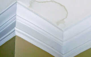 Желтые пятна на потолке: как убрать, закрасить пятно, как избавиться от желтых пятен, как удалить пятна от протечек, что делать, как убрать желтизну