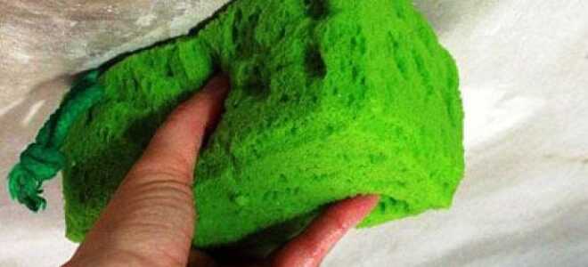 Как смыть побелку с потолка быстро: эффективные способы очистки