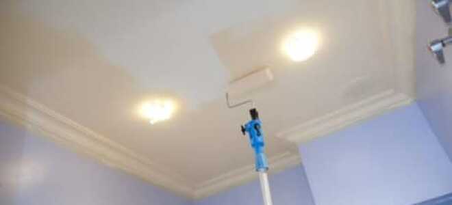 Побелка потолка водоэмульсионной краской: тонкости и нюансы работы