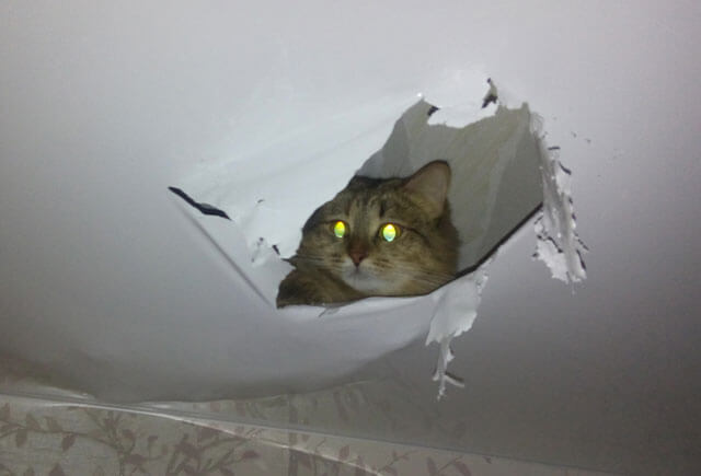 дырка в натяжном потолке как заделать самостоятельно дыра в натяжном потолке